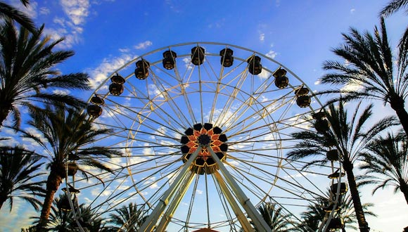 Looking up at a ferris wheel surrounded by palm trees set against a blue sky.